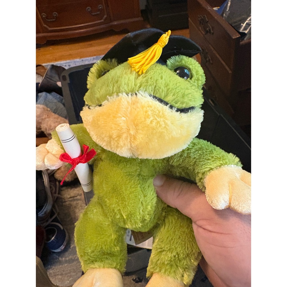 Dan Dee Collectors Choice Graduation Frog Plush Green Stuffed Animal Diploma Hat